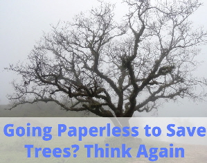 papers